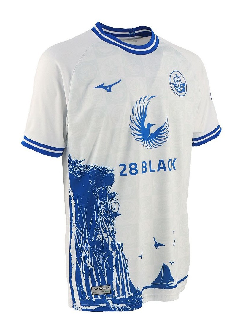 Hansa Rostock 2023-24 Special Kit