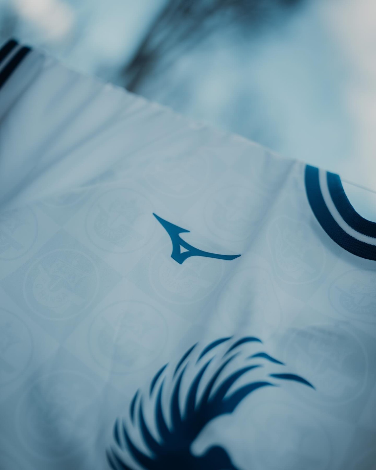 Hansa Rostock 2023-24 Special Kit