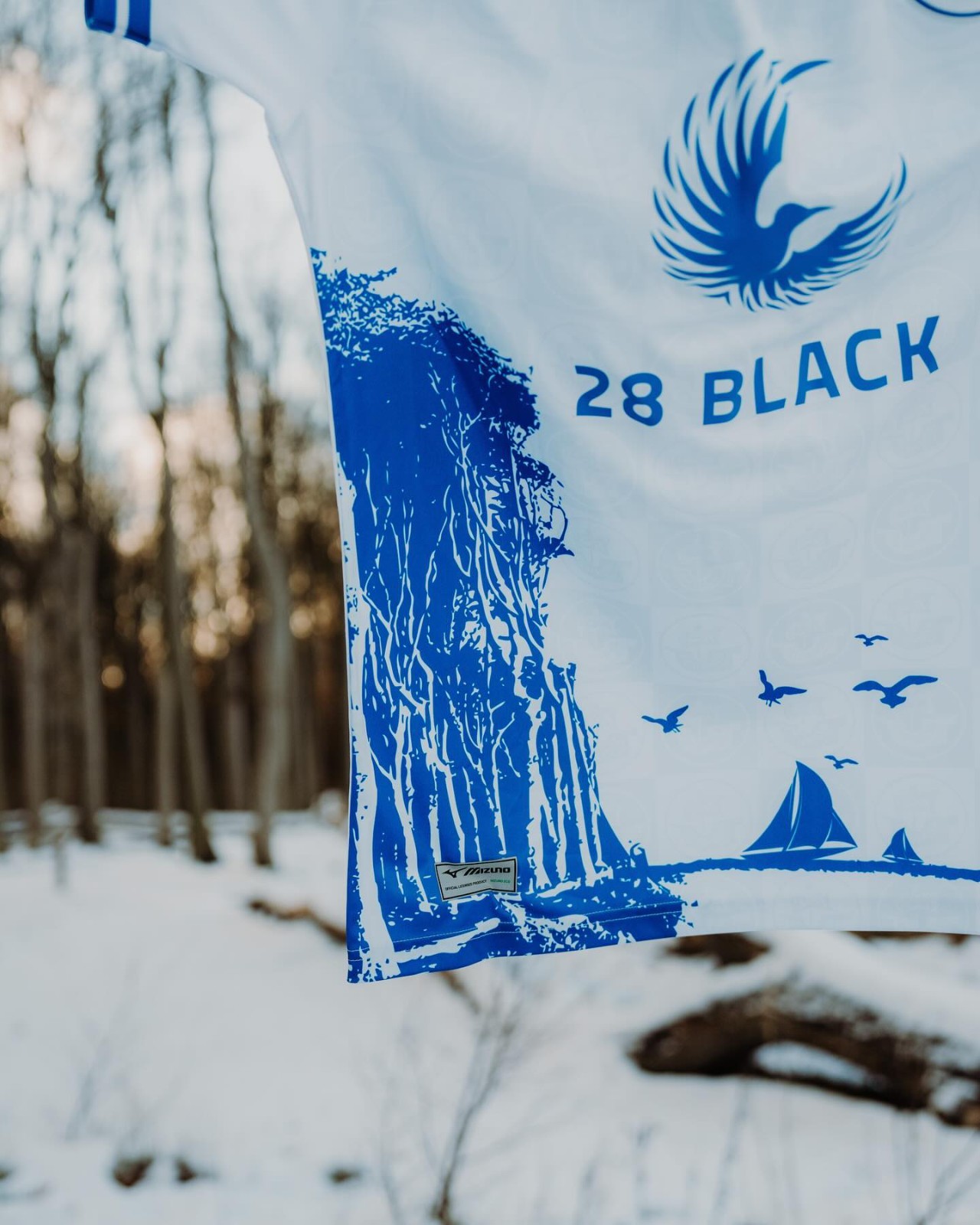 Hansa Rostock 2023-24 Special Kit