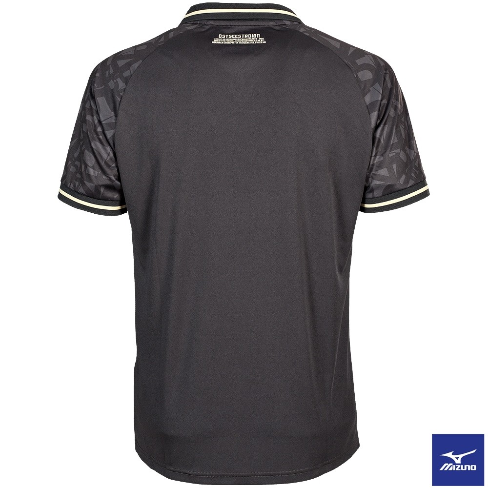 Hansa Rostock 2024-25 Anniversary Kit