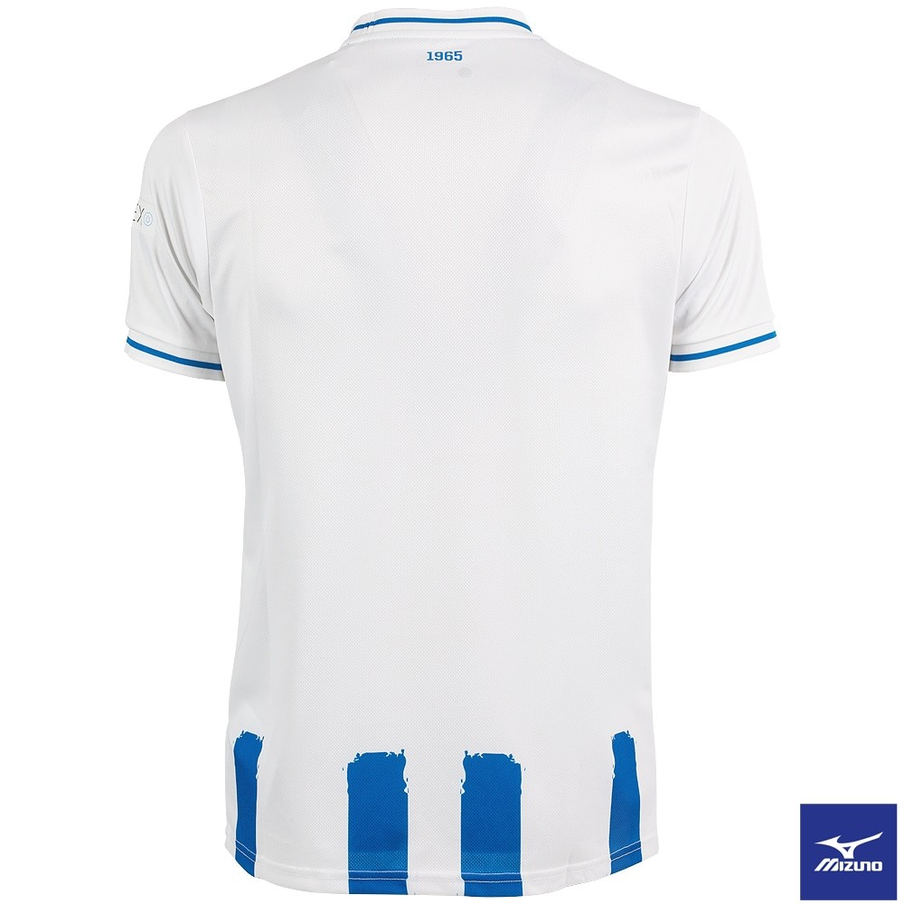 Hansa Rostock 2024-25 Home V2 Kit