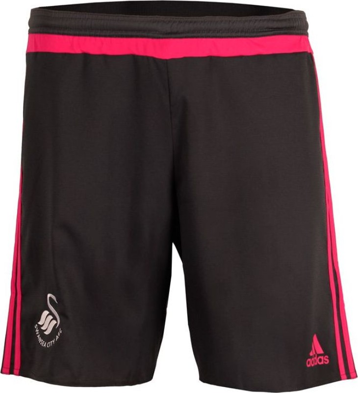 Swansea City 2015-16 GK Home Kit