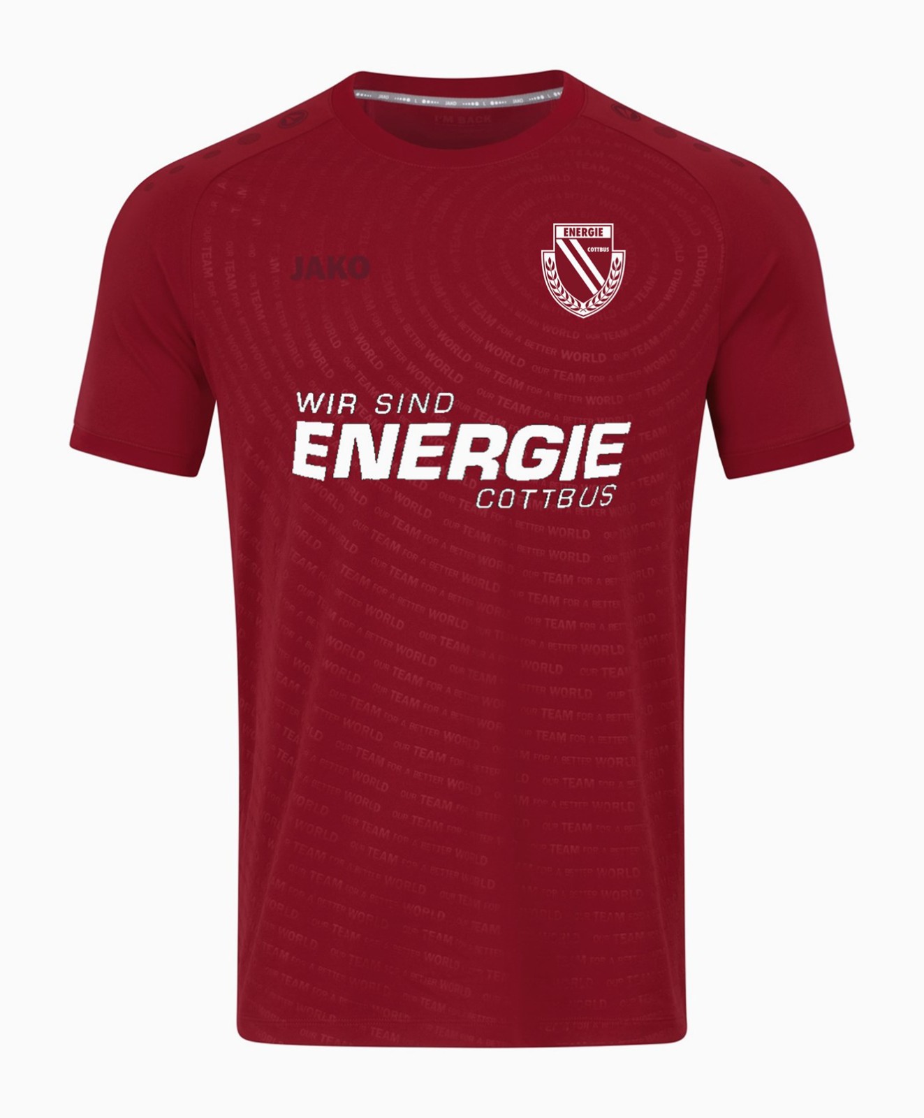 Energie Cottbus 2021-22 Special Kit