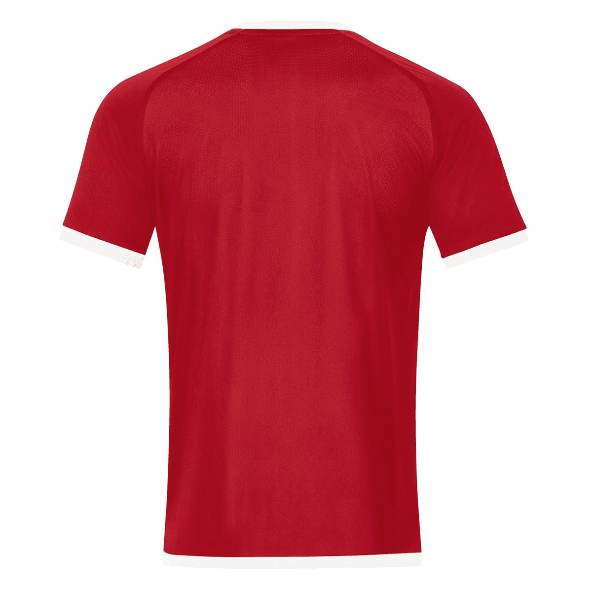 Energie Cottbus 2022-23 Home Kit