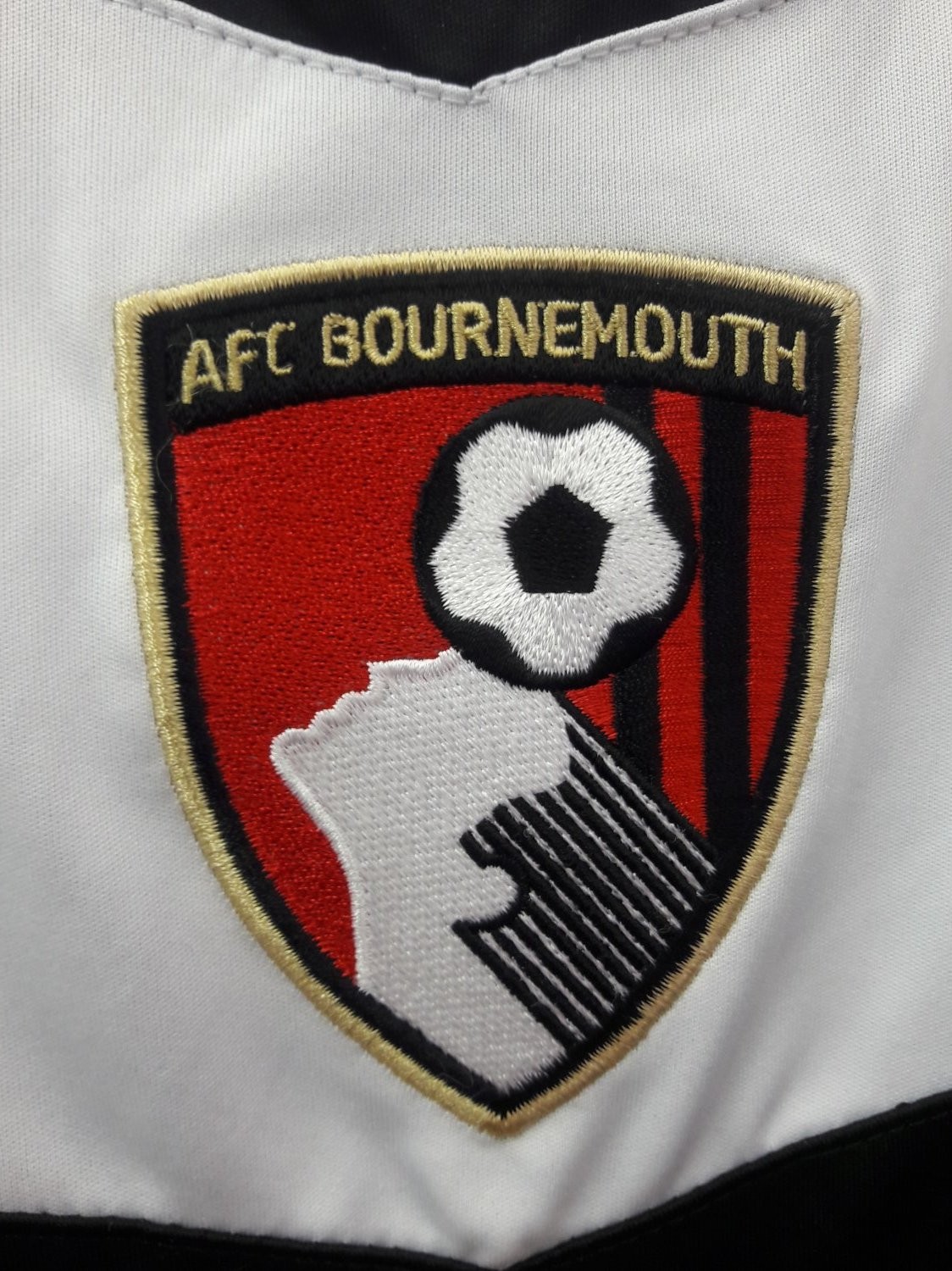 AFC Bournemouth 2015-16 GK Third Kit