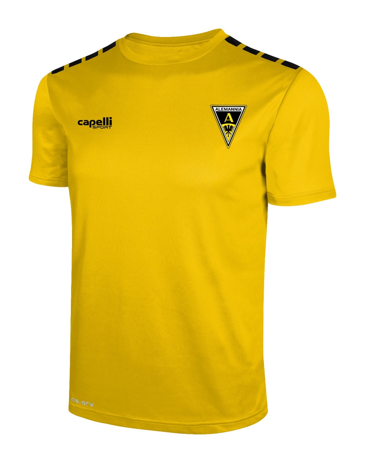 Alemannia Aachen 2024-25 Pre-Season Home Kit