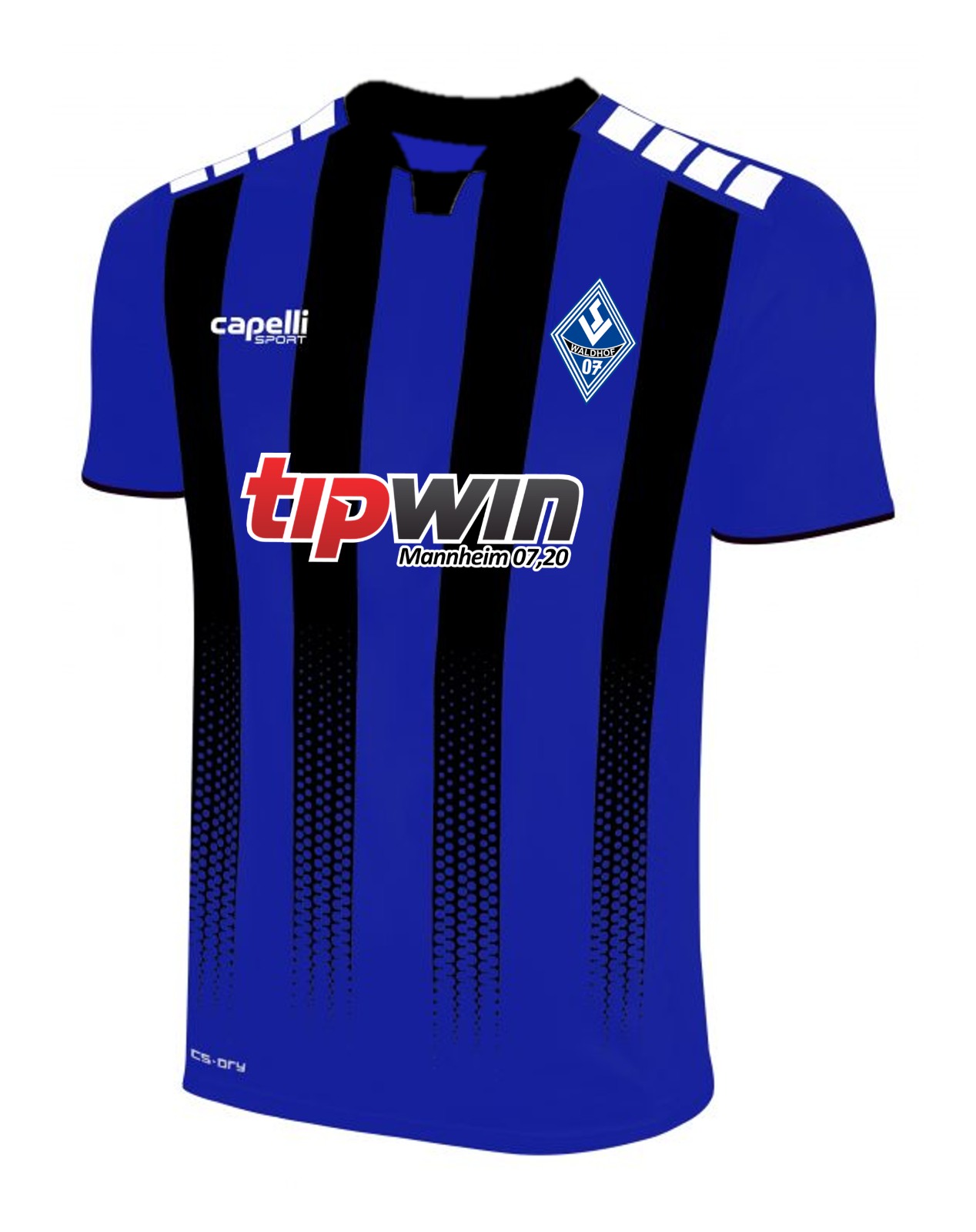 Waldhof Mannheim 2018-19 Home Kit