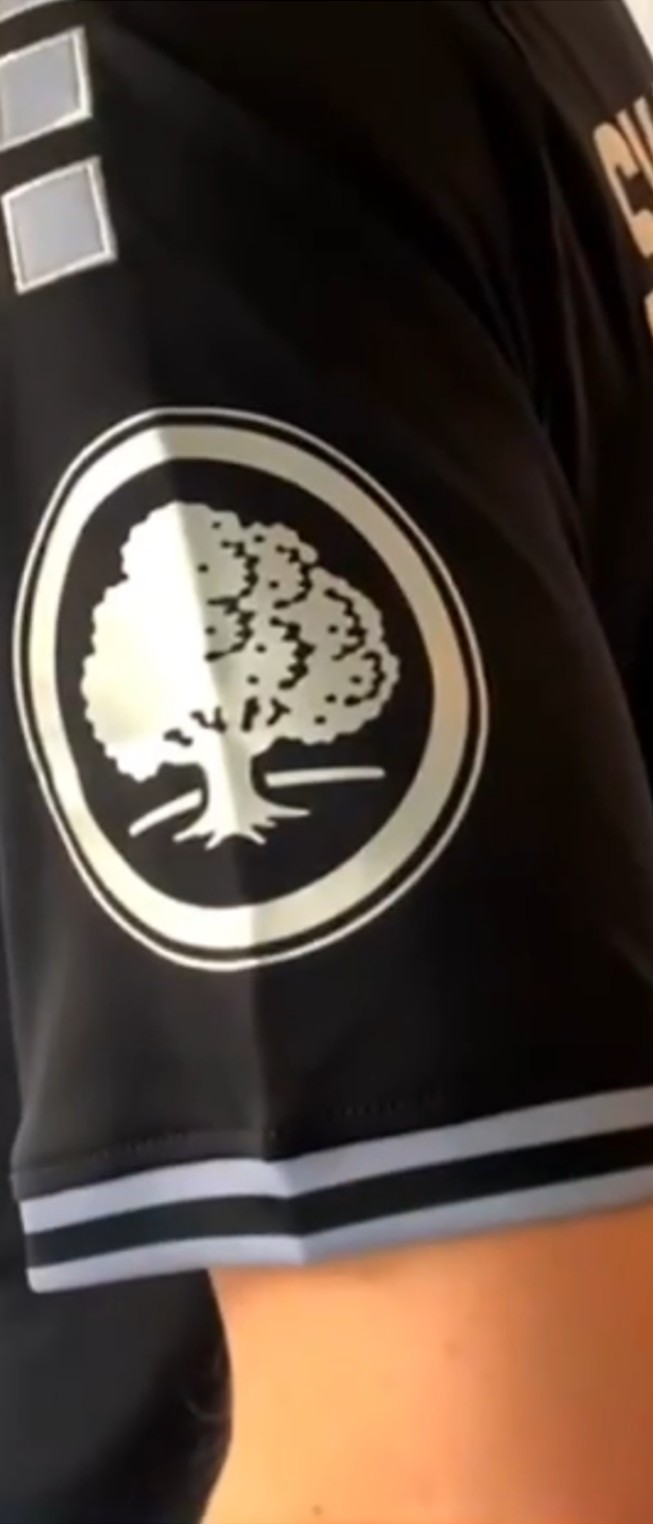 Waldhof Mannheim 2021-22 Anniversary Kit