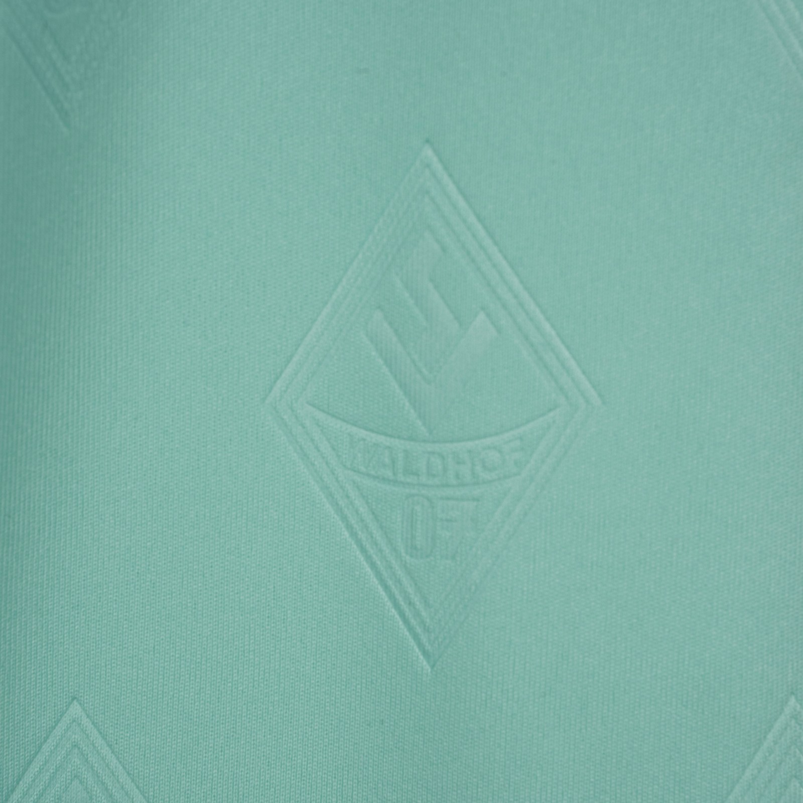 Waldhof Mannheim 2023-24 Third Kit