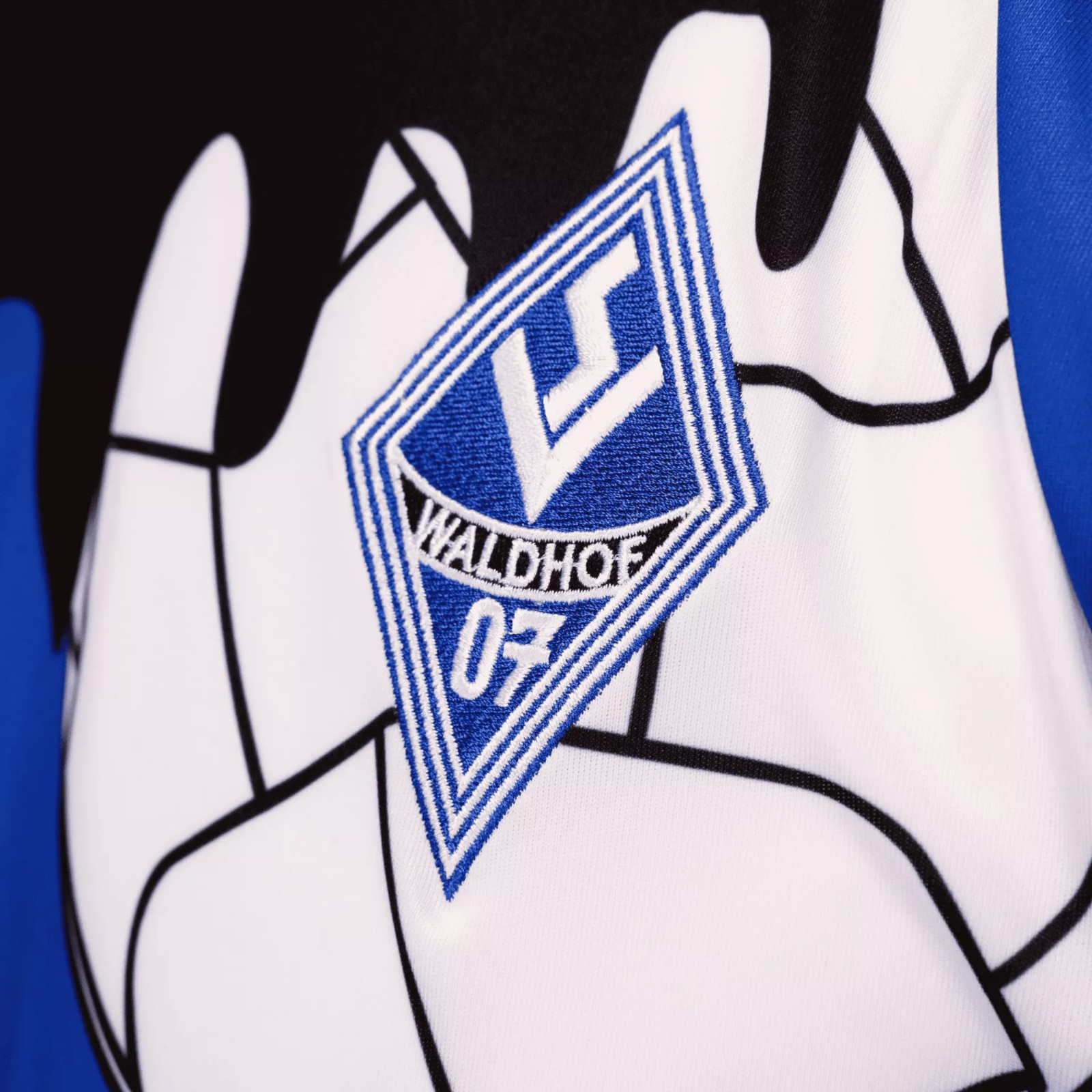Waldhof Mannheim 2023-24 Special Kit