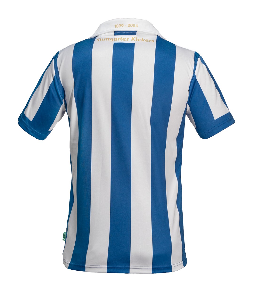 Stuttgarter Kickers 2024-25 Anniversary Kit