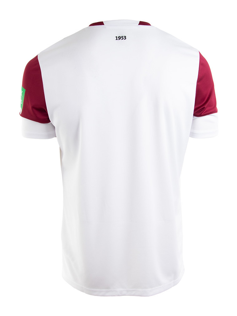 Dynamo Dresden 2021-22 Third Kit