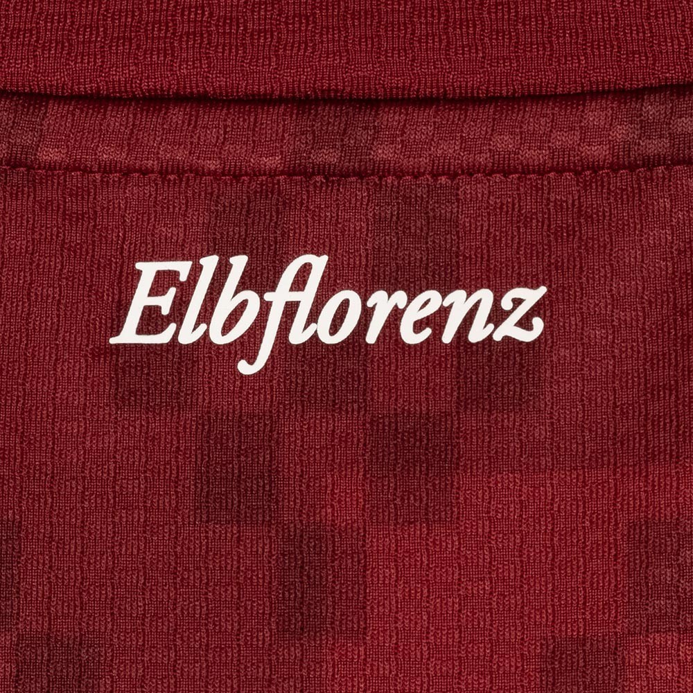 Dynamo Dresden 2024-25 Third Kit