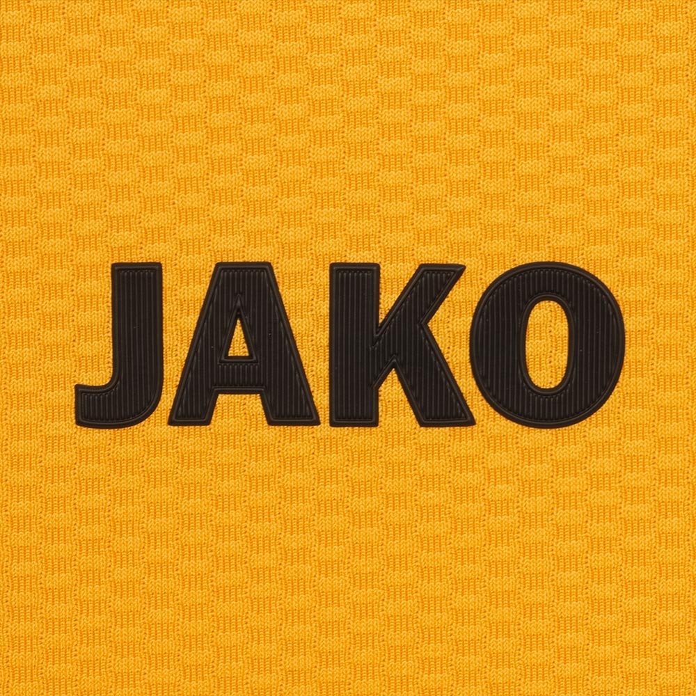 Dynamo Dresden 2024-25 Home V2 Kit