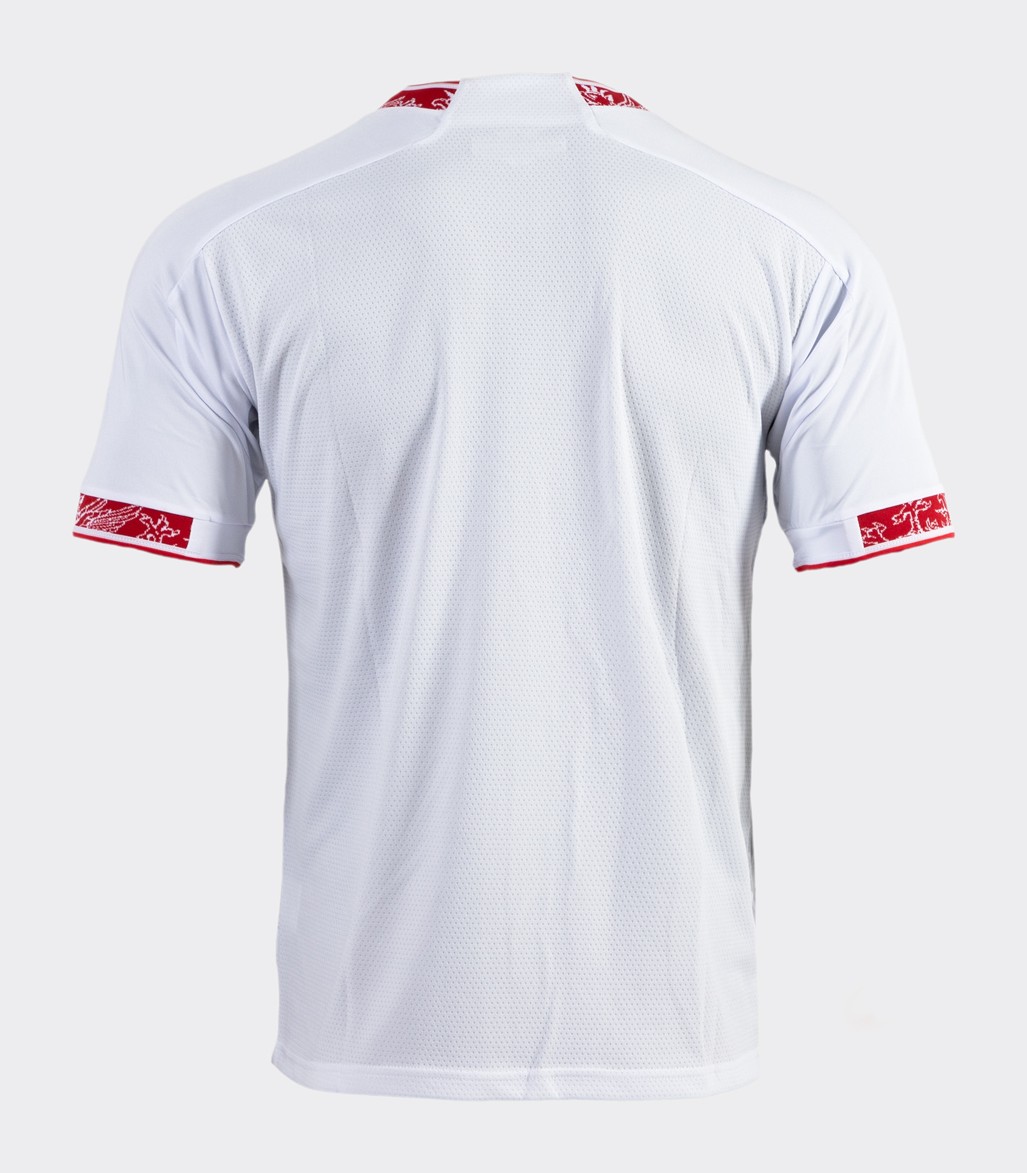 Perugia 2023-24 Away Kit