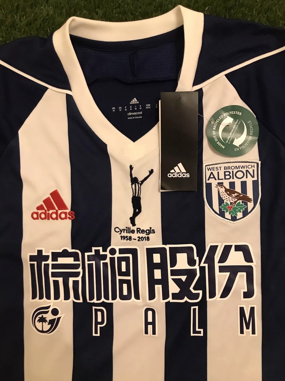 West Bromwich Albion 2017-18 Home V2 Kit