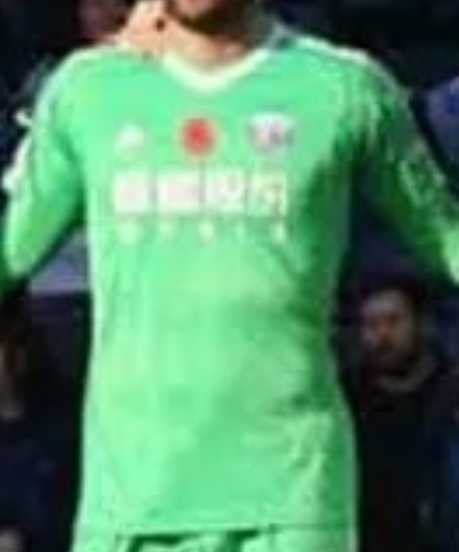 West Bromwich Albion 2017-18 GK Home V2 Kit