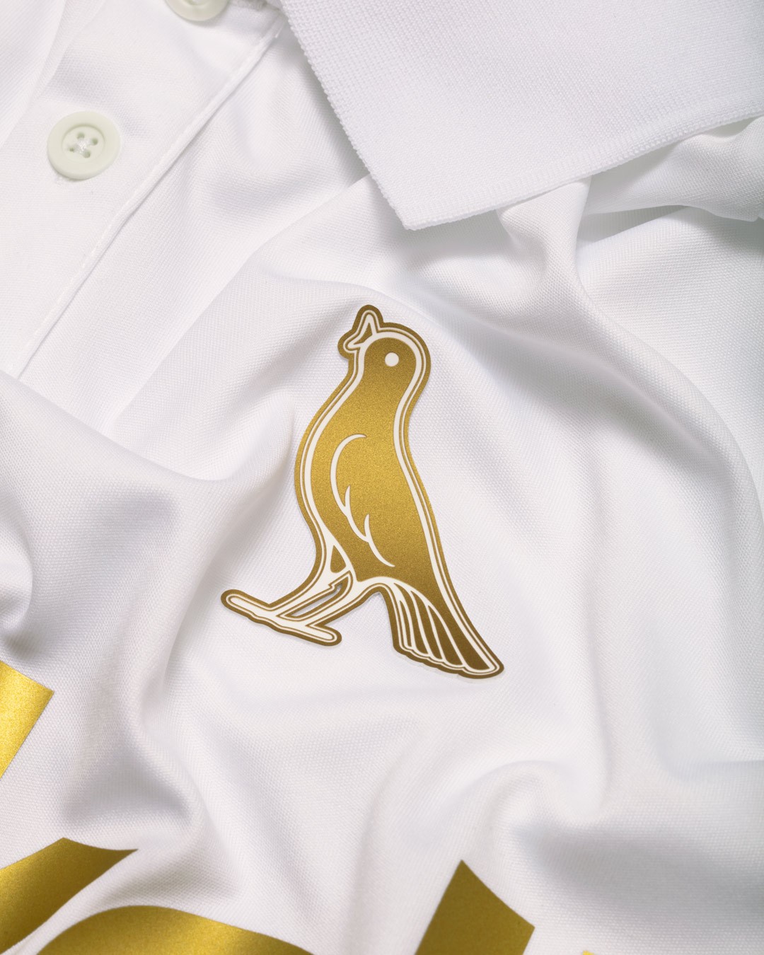 Modena FC 2018 2023-24 Third Kit