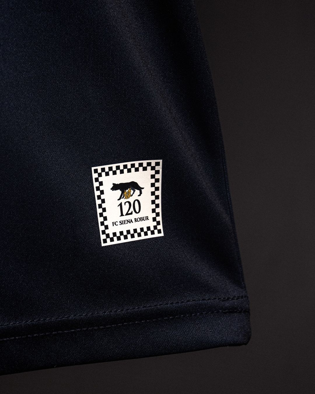 Siena 2024-25 GK Anniversary Kit