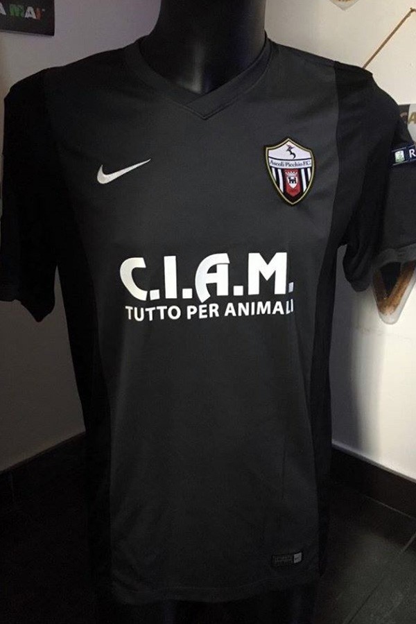 Ascoli 2016-17 Third Kit