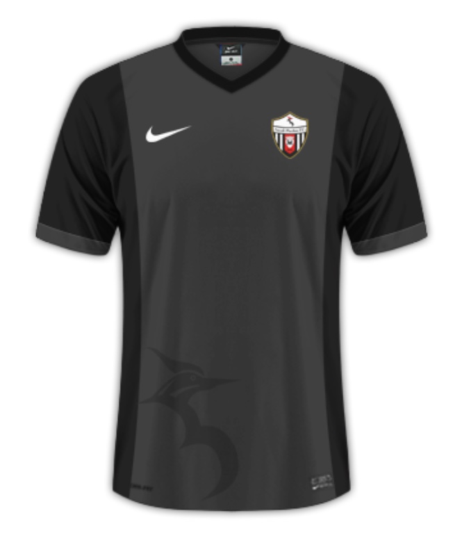 Ascoli 2016-17 Third Kit
