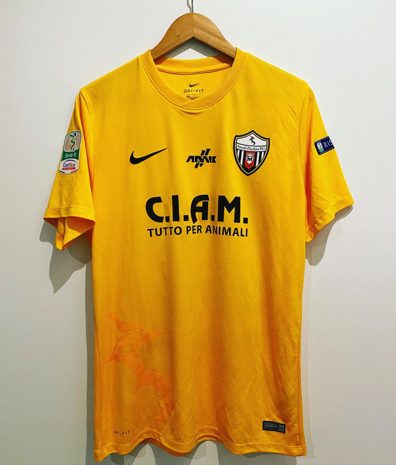 Ascoli 2016-17 GK 1 Kit