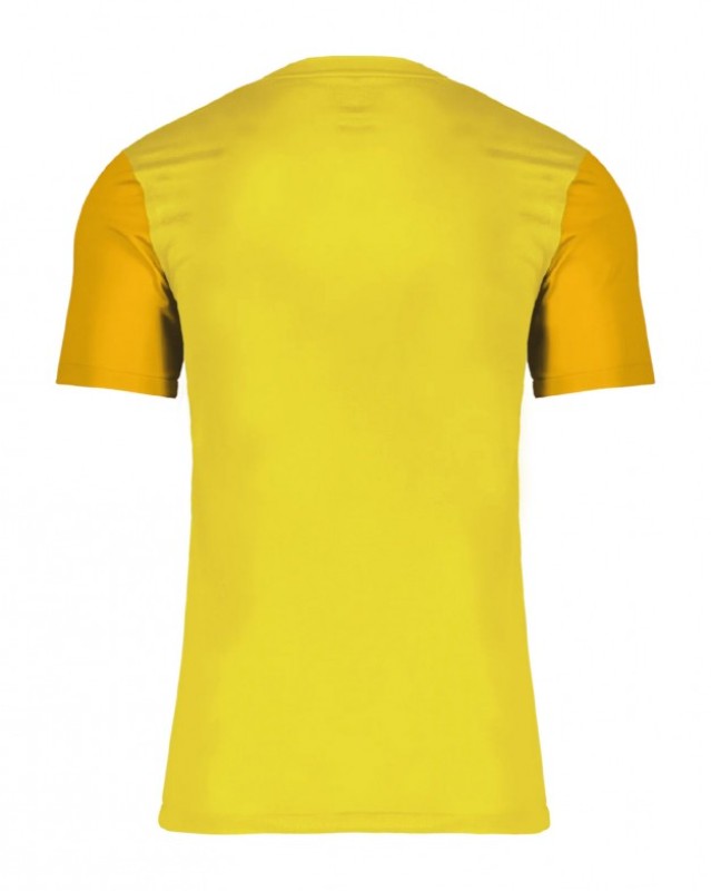 Ascoli 2023-24 GK 2 Kit