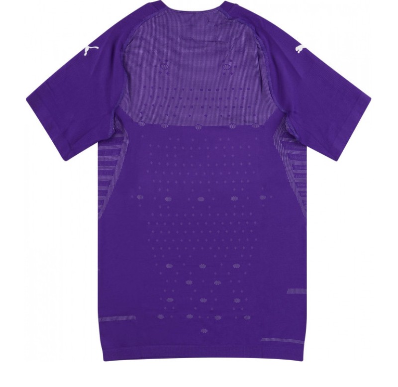 Newcastle United 2018-19 GK 2 Kit