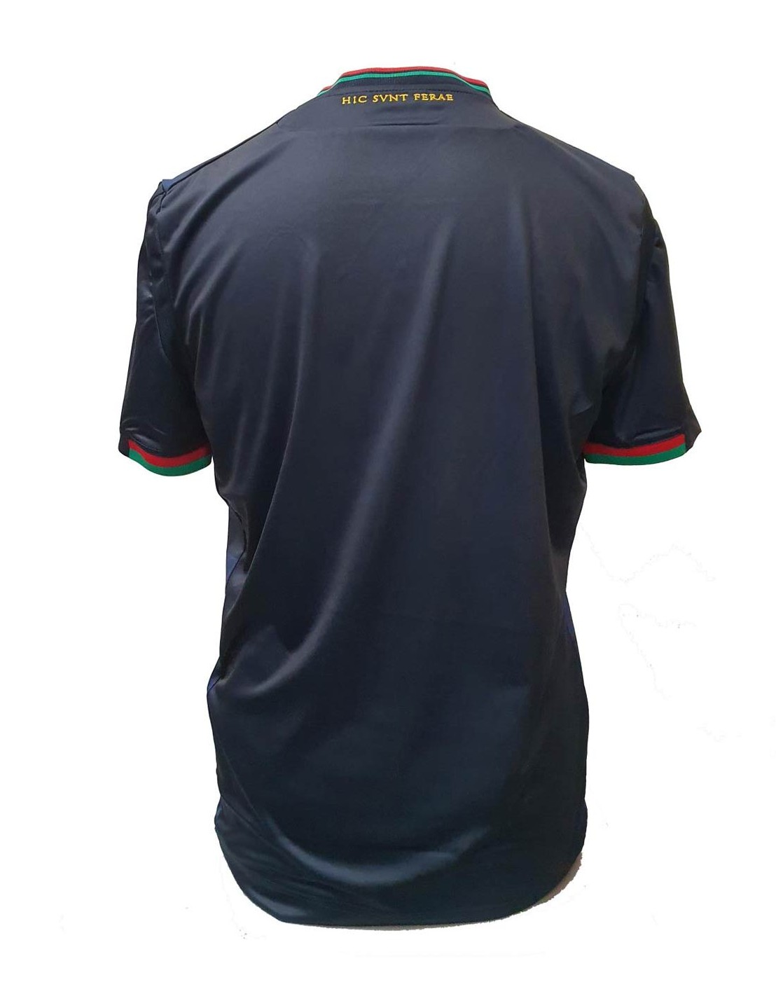 Ternana 2020-21 Third Kit