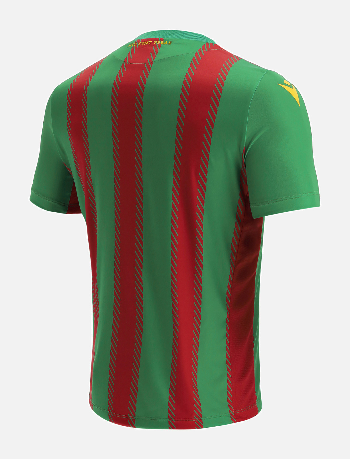Ternana 2021-22 Home Kit