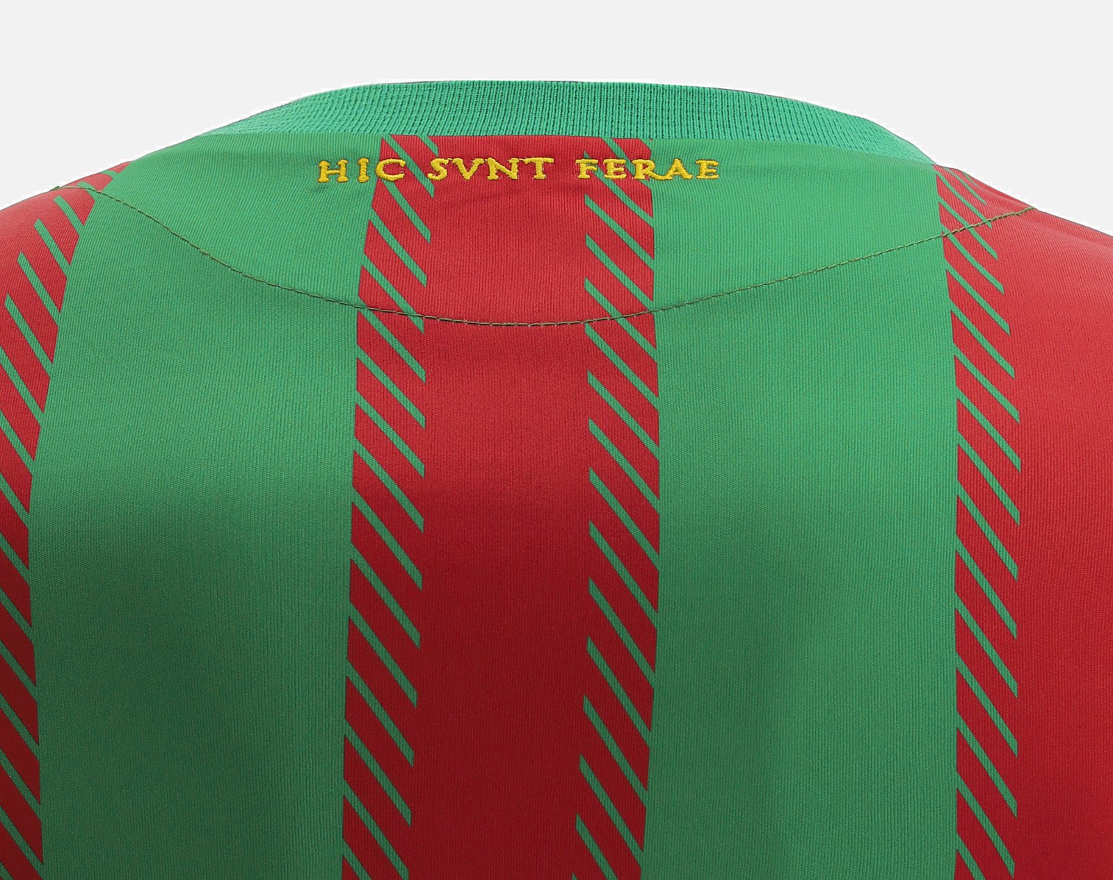 Ternana 2021-22 Home Kit