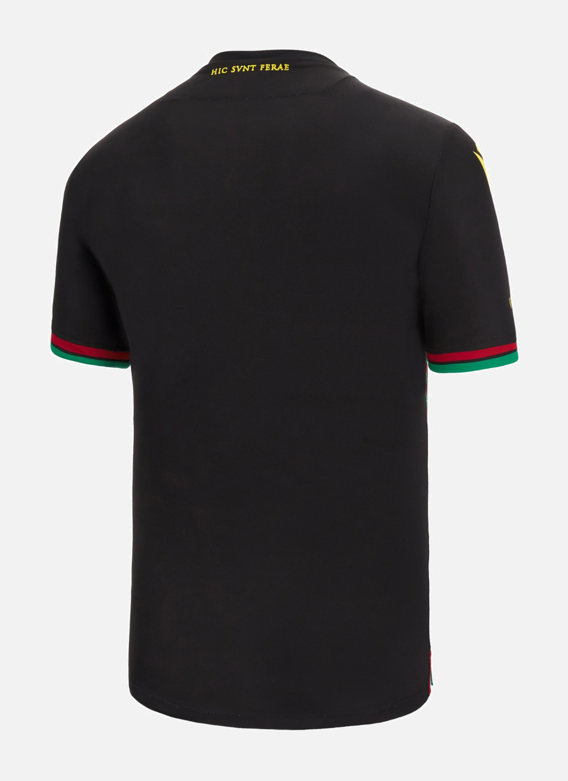 Ternana 2022-23 Third Kit