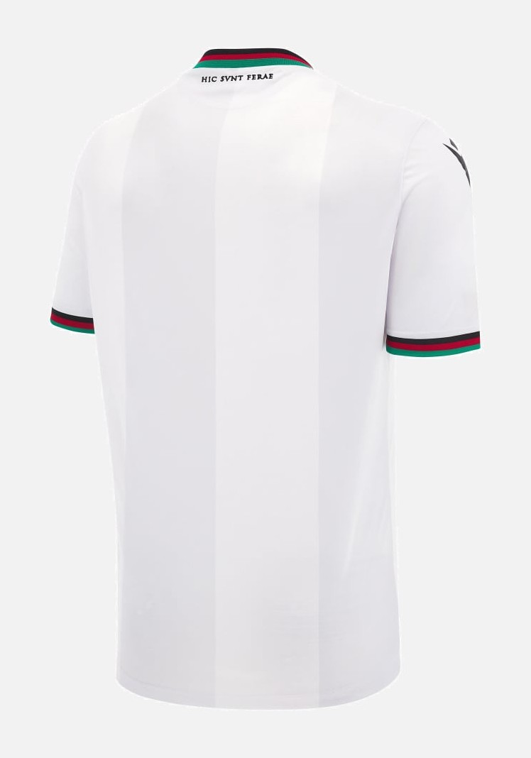 Ternana 2024-25 Away Kit