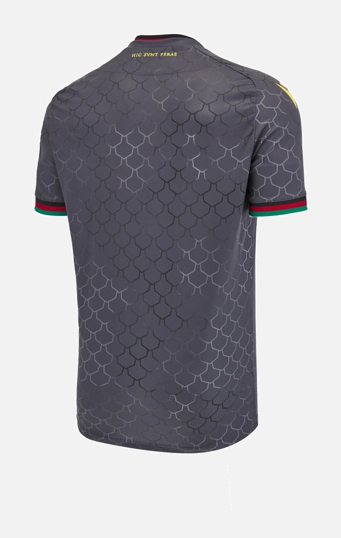 Ternana 2024-25 Third Kit