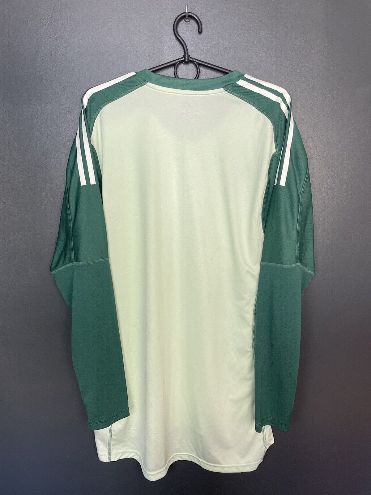 Cardiff City 2018-19 GK 2 Kit