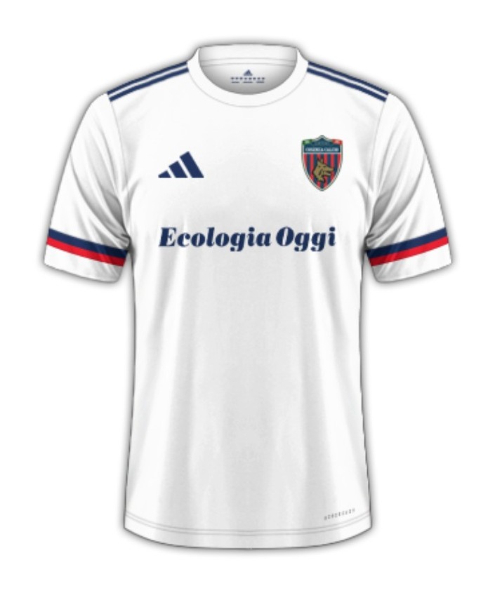 Cosenza 2025-26 Away Kit