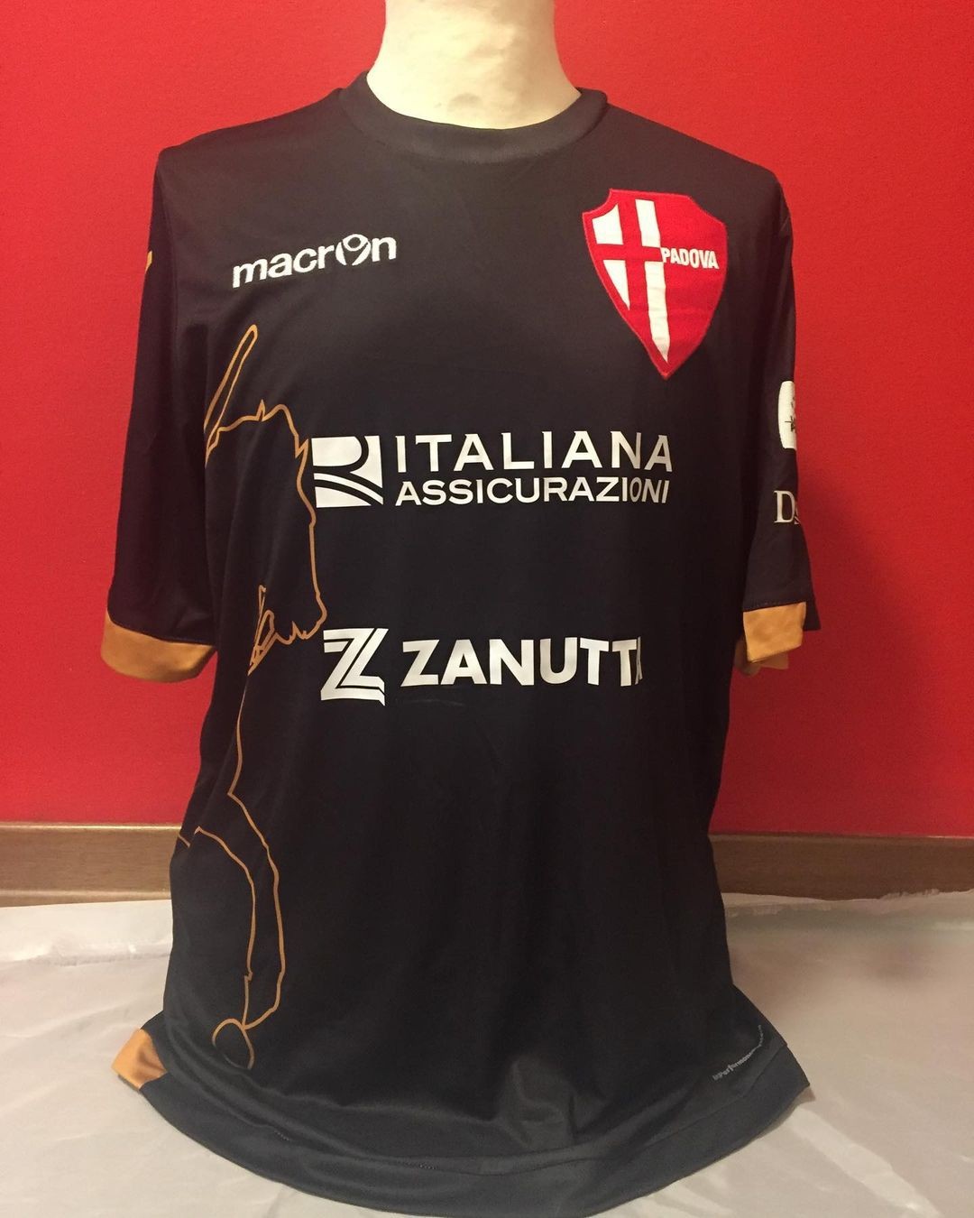 Padova 2016-17 Third Kit