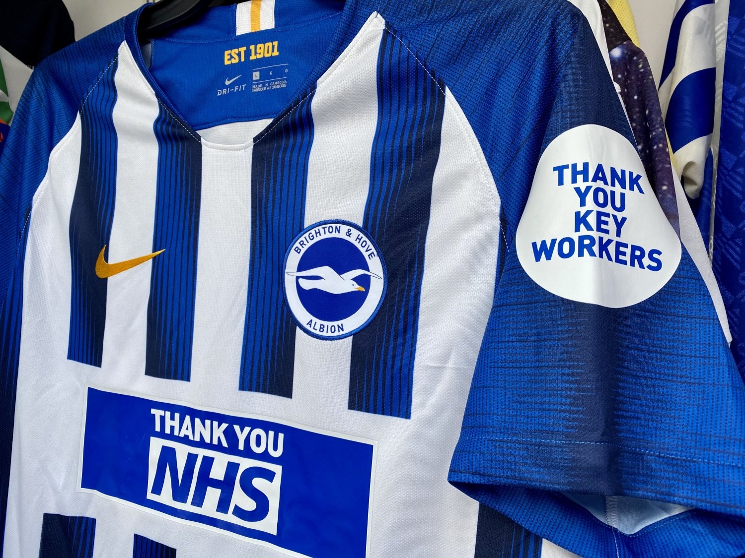 Brighton & Hove Albion 2019-20 Home V2 Kit