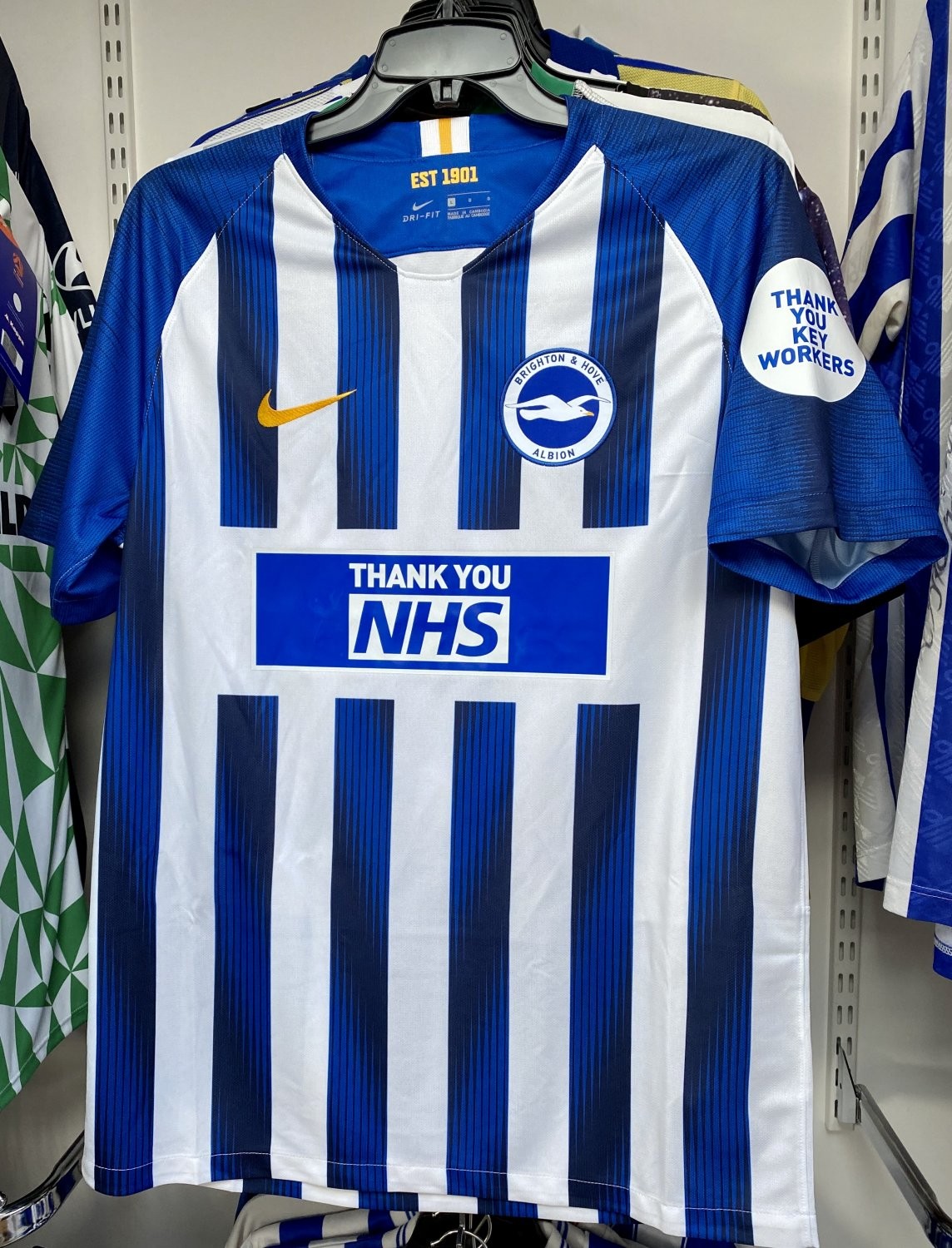 Brighton & Hove Albion 2019-20 Home V2 Kit