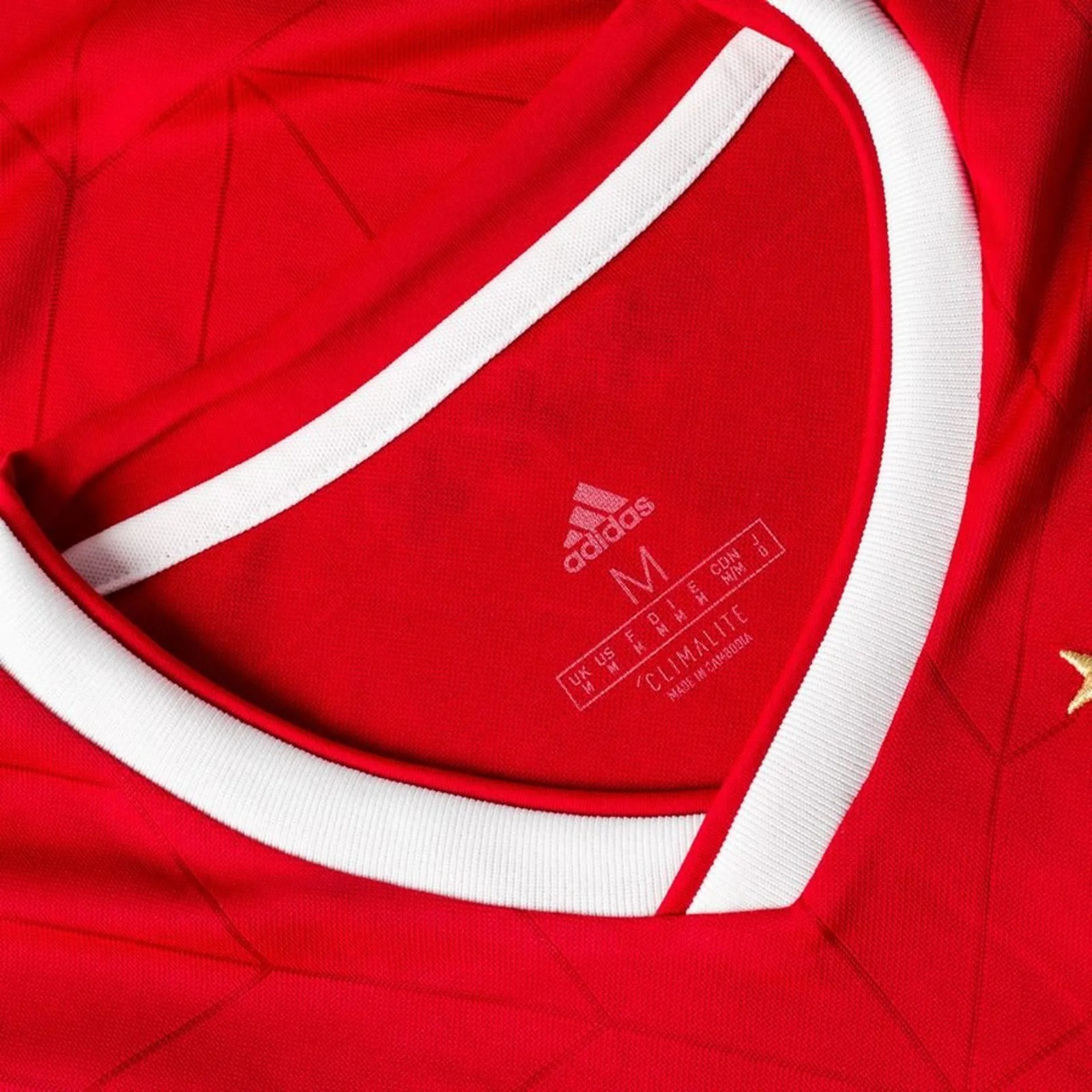 Ajax Amsterdam 2018-19 Home Kit