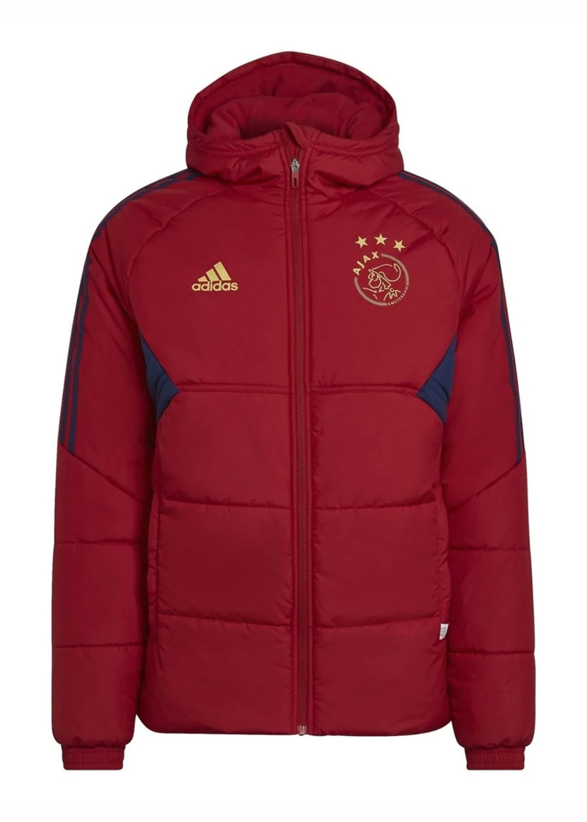 Ajax Amsterdam 2022-23 Bench Kit