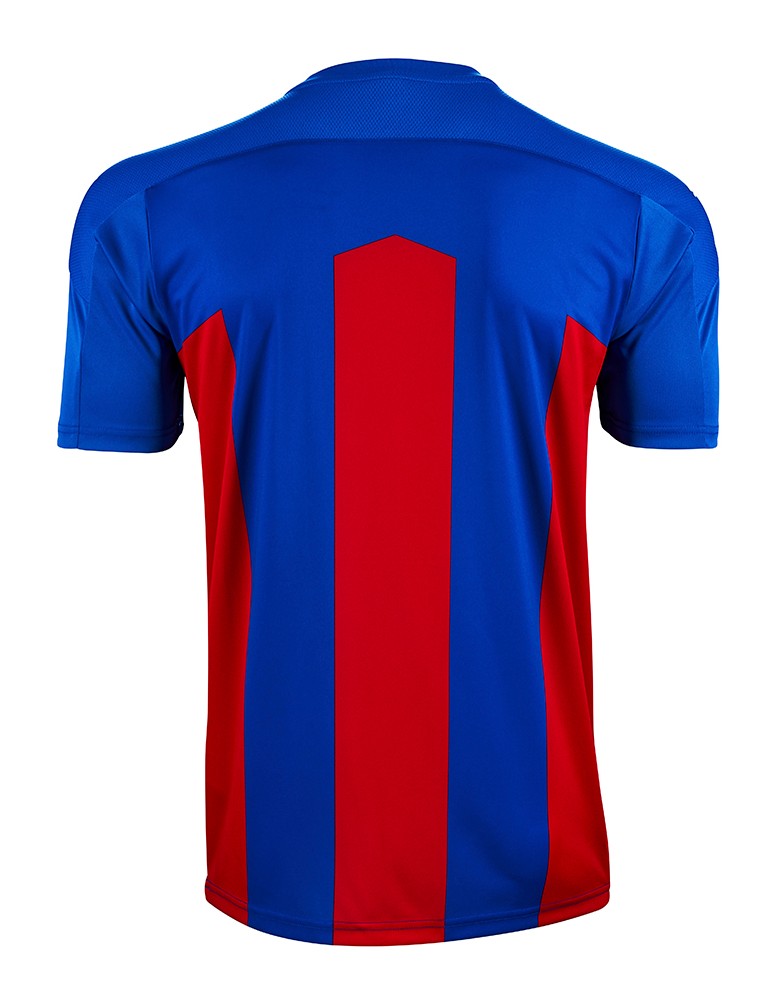 Crystal Palace 2020-21 Home Kit