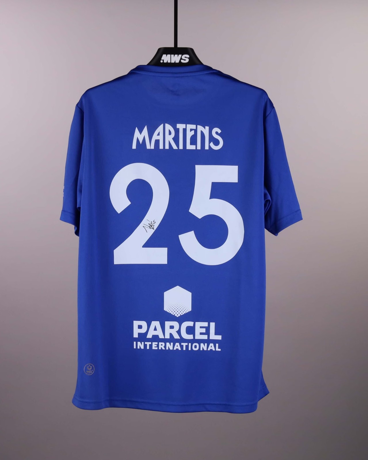 Fortuna Sittard 2025-26 GK 2 V4 Kit