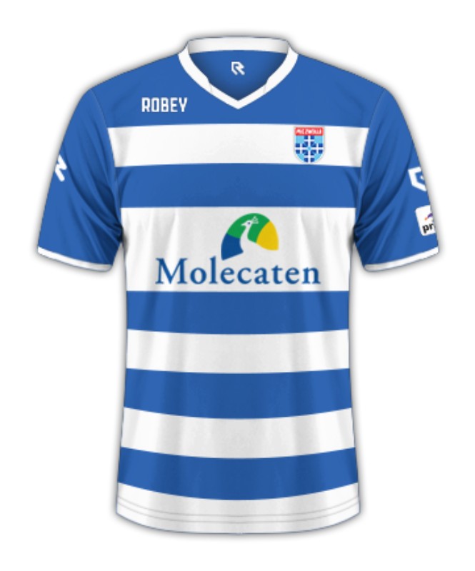 PEC Zwolle 2015-16 Home Kit