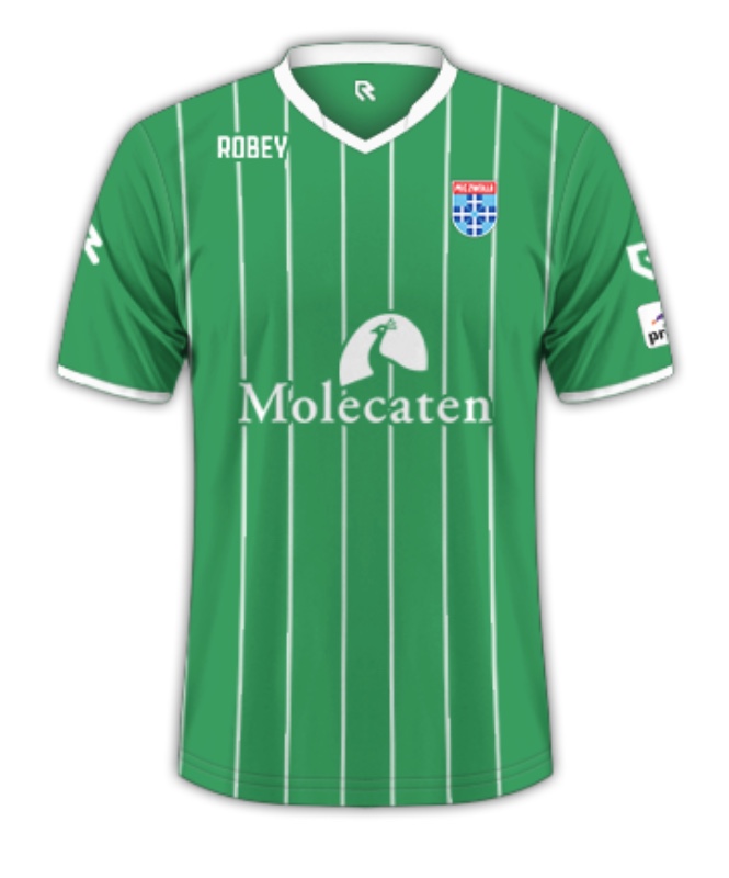 PEC Zwolle 2015-16 Away Kit