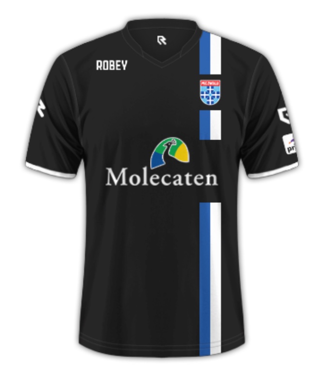 PEC Zwolle 2015-16 Third Kit