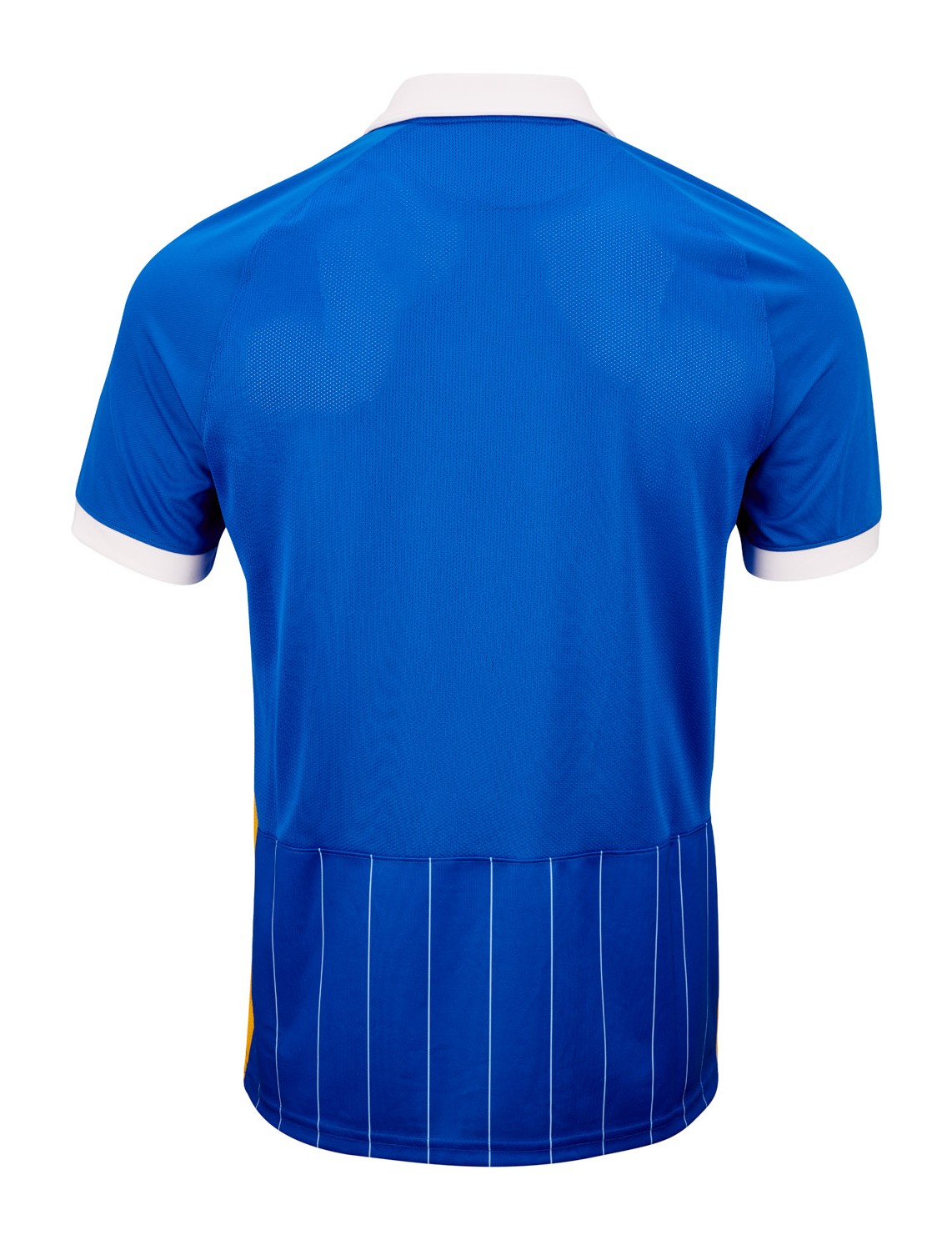 Brighton & Hove Albion 2020-21 Home Kit
