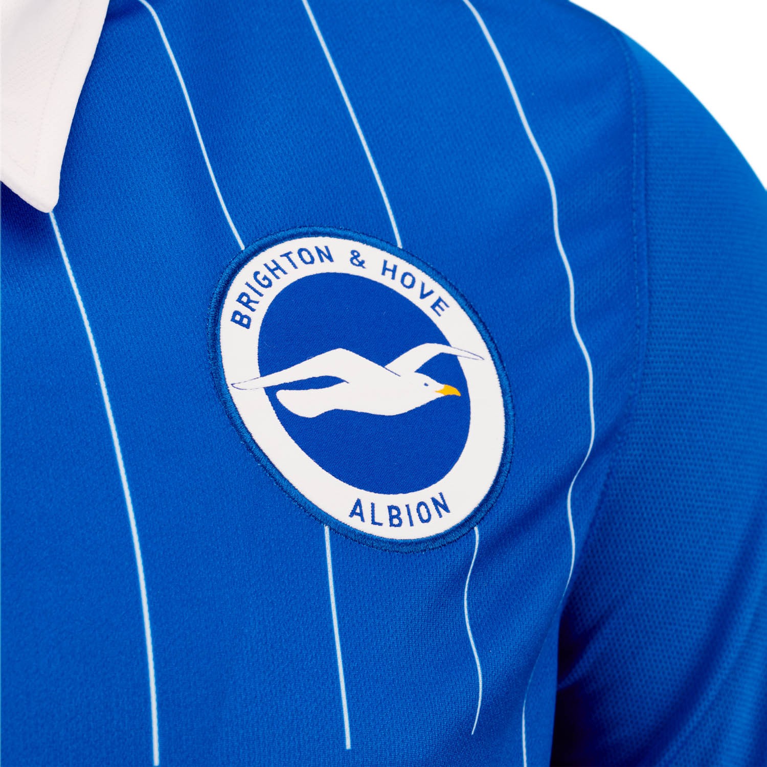 Brighton & Hove Albion 2020-21 Home Kit