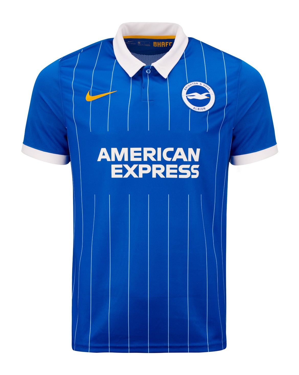 Brighton & Hove Albion 2020-21 Home Kit