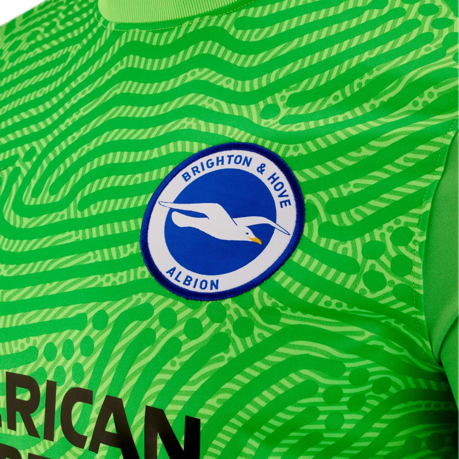 Brighton & Hove Albion 2020-21 GK 2 Kit